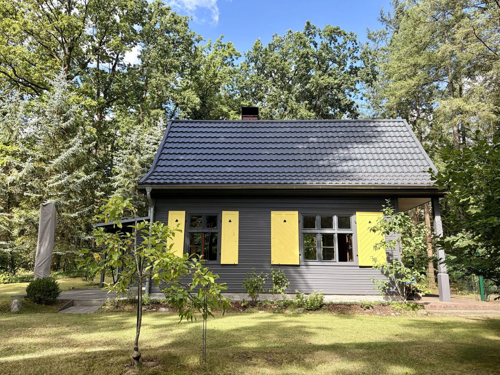 Holzhaus mit dunkelgrauer Fassade und gelben Fensterläden am Waldrand bei Zehdenick