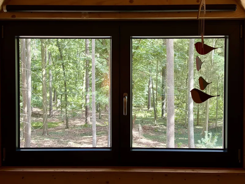 Blick aus dem Giebelfenster in den Wald der Bürgerheide
